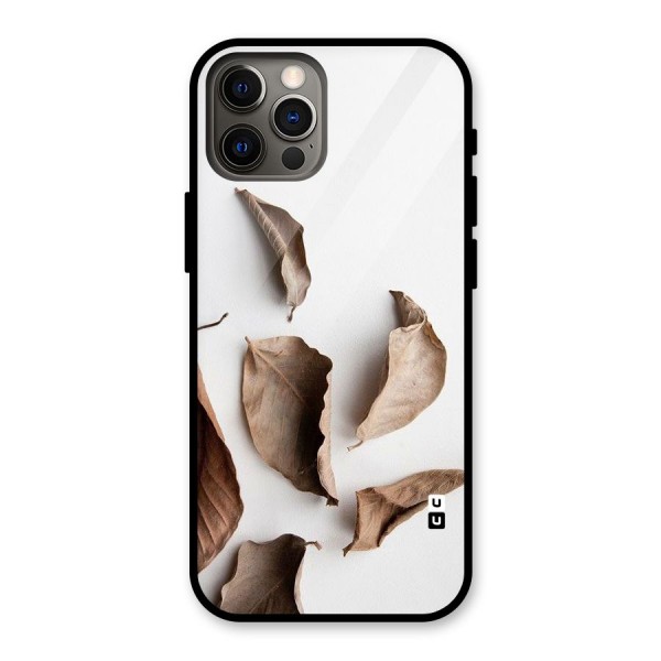 Brown Dusty Leaves Glass Back Case for iPhone 12 Pro