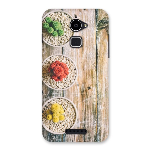 Cacti Decor Back Case for Coolpad Note 3 Lite