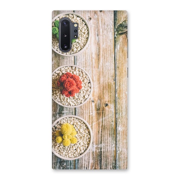 Cacti Decor Back Case for Galaxy Note 10 Plus