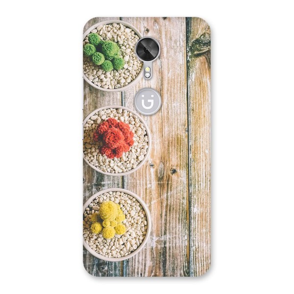 Cacti Decor Back Case for Gionee A1