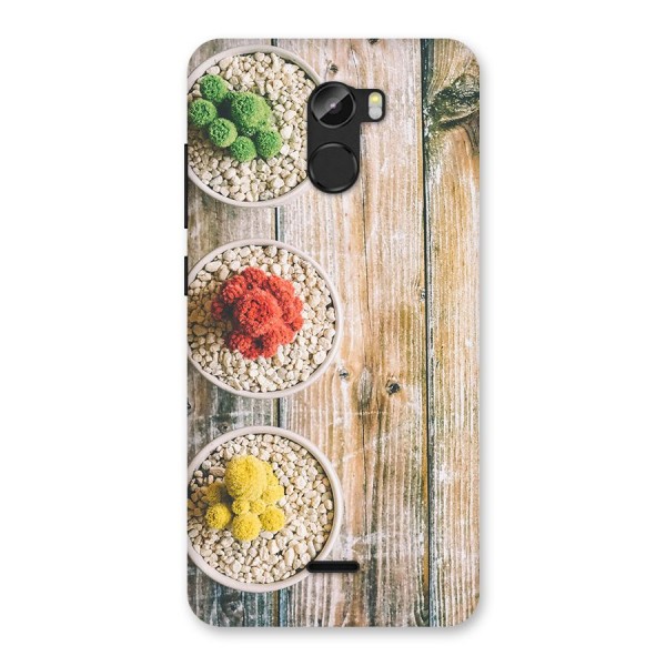 Cacti Decor Back Case for Gionee X1