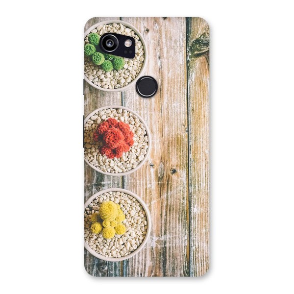 Cacti Decor Back Case for Google Pixel 2 XL