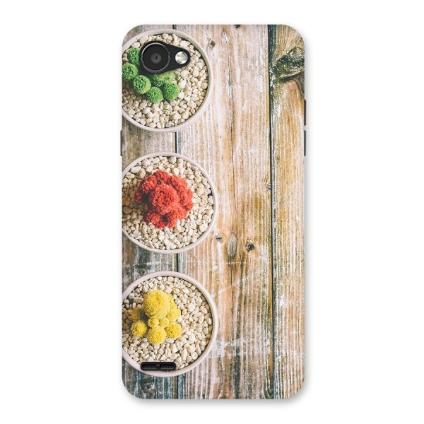 Cacti Decor Back Case for LG Q6