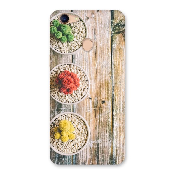 Cacti Decor Back Case for Oppo F5 Youth