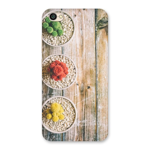 Cacti Decor Back Case for Redmi Y1 Lite