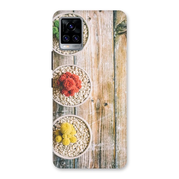 Cacti Decor Back Case for Vivo V20 Pro