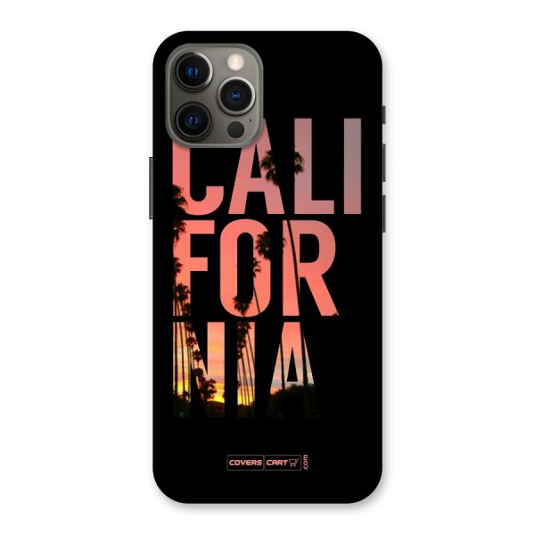 California Back Case for iPhone 12 Pro Max