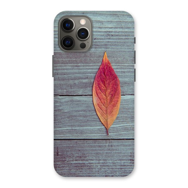 Classic Wood Leaf Back Case for iPhone 12 Pro Max