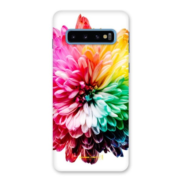 Colorful Flower Back Case for Galaxy S10