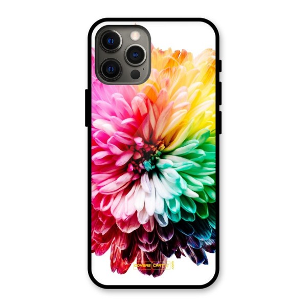 Colorful Flower Glass Back Case for iPhone 12 Pro Max