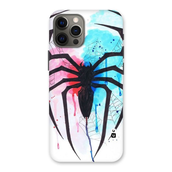 Colorful Web Back Case for iPhone 12 Pro Max