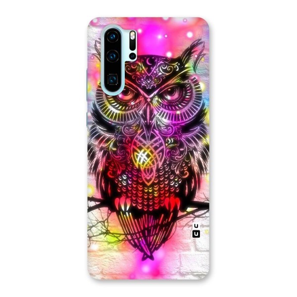 Colourful Owl Back Case for Huawei P30 Pro