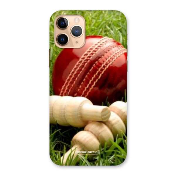 Cricket Ball and Stumps Back Case for iPhone 11 Pro