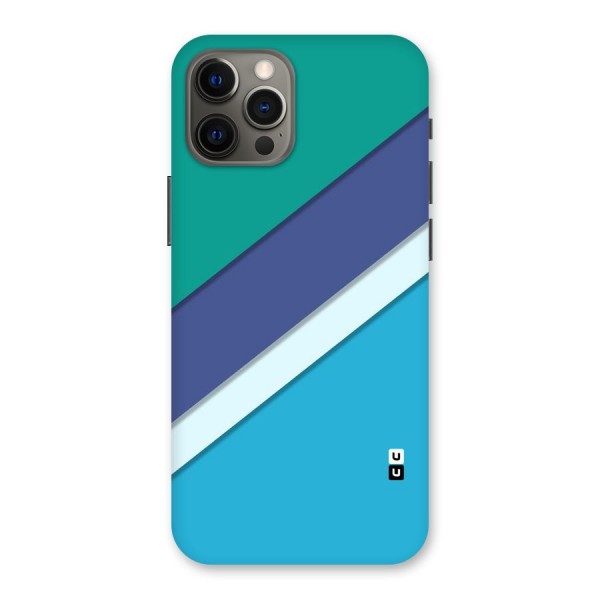 Elegant Colored Stripes Back Case for iPhone 12 Pro Max