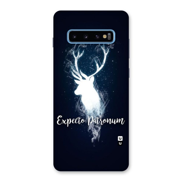 Expected Wish Back Case for Galaxy S10 Plus