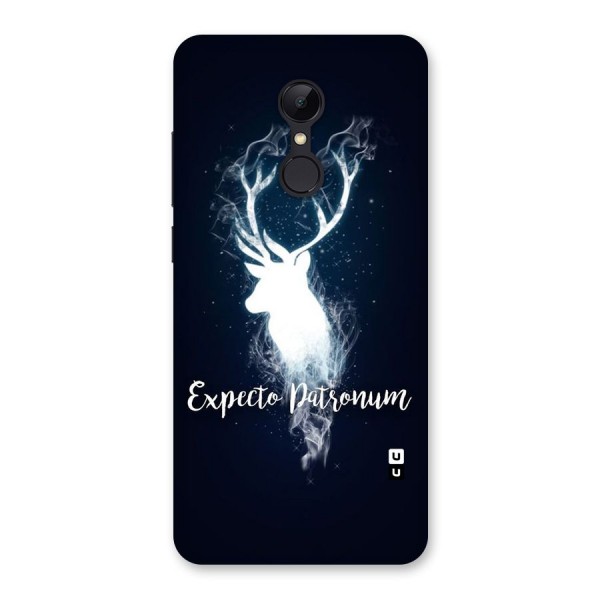 Expected Wish Back Case for Redmi 5