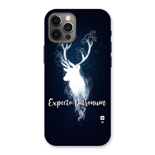 Expected Wish Back Case for iPhone 12 Pro