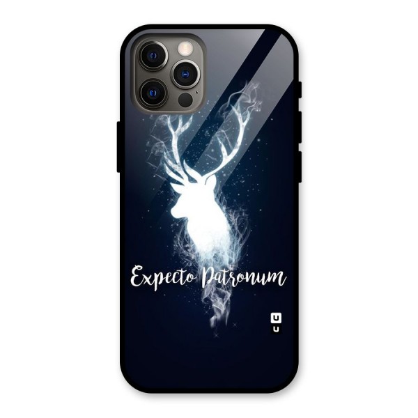 Expected Wish Glass Back Case for iPhone 12 Pro