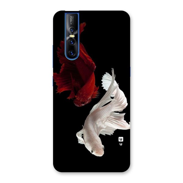 Fish Design Back Case for Vivo V15 Pro