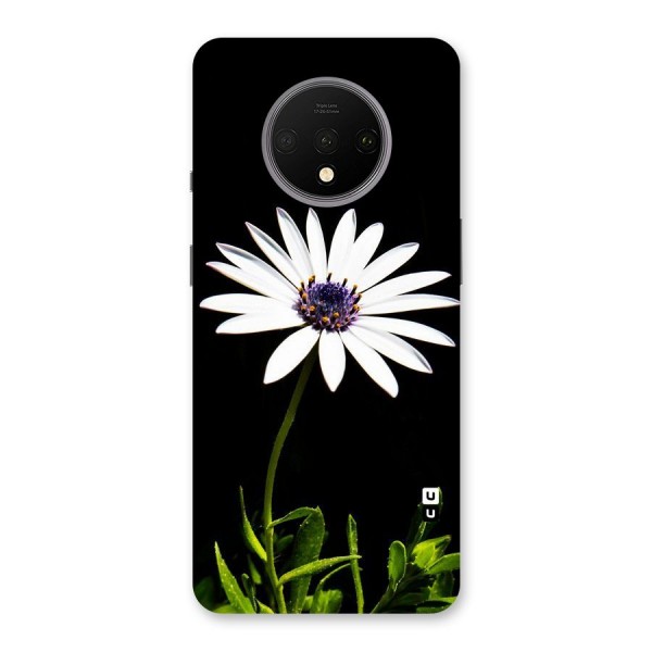 Flower White Spring Back Case for OnePlus 7T