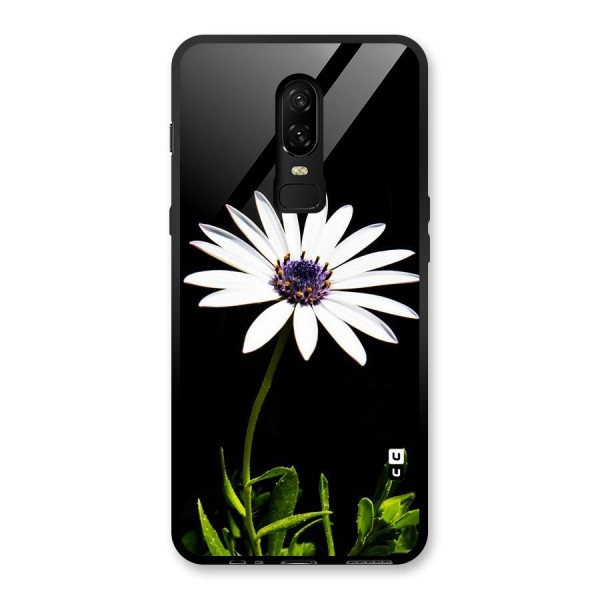 Flower White Spring Glass Back Case for OnePlus 6