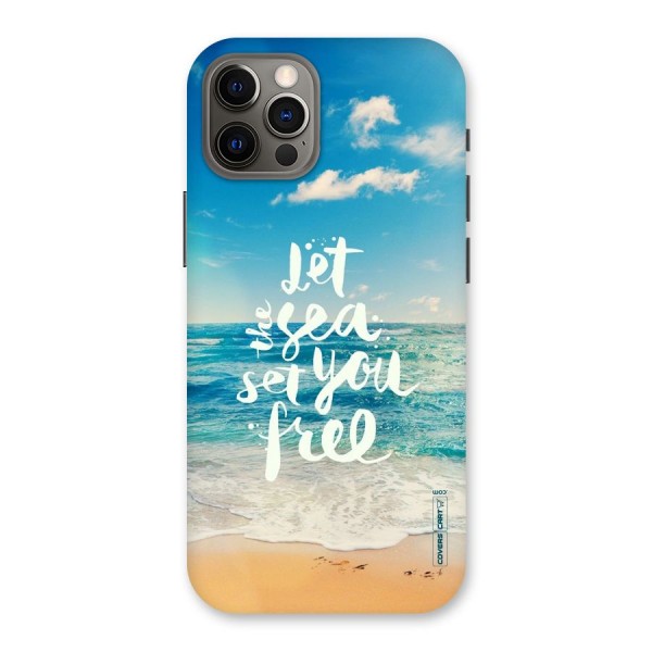 Free Sea Back Case for iPhone 12 Pro