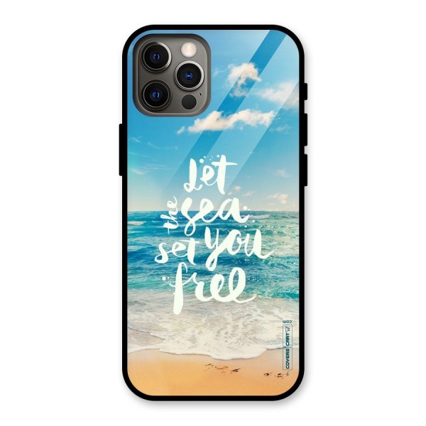 Free Sea Glass Back Case for iPhone 12 Pro