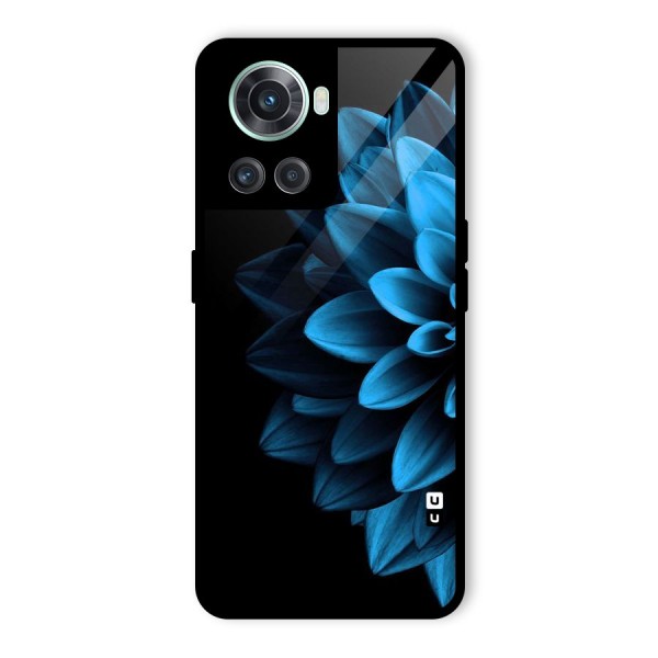Half Blue Flower Glass Back Case for OnePlus 10R