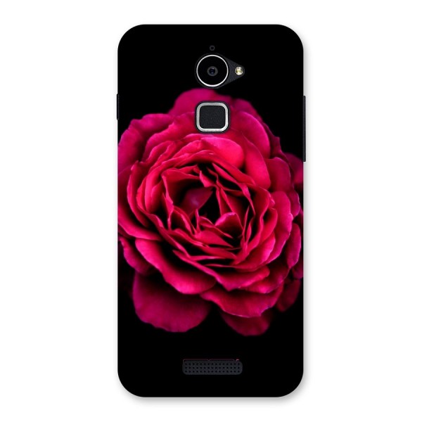Magical Rose Back Case for Coolpad Note 3 Lite