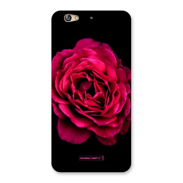 Magical Rose Back Case for Gionee S6