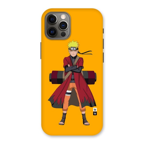 Naruto Uzumaki Art Back Case for iPhone 12 Pro