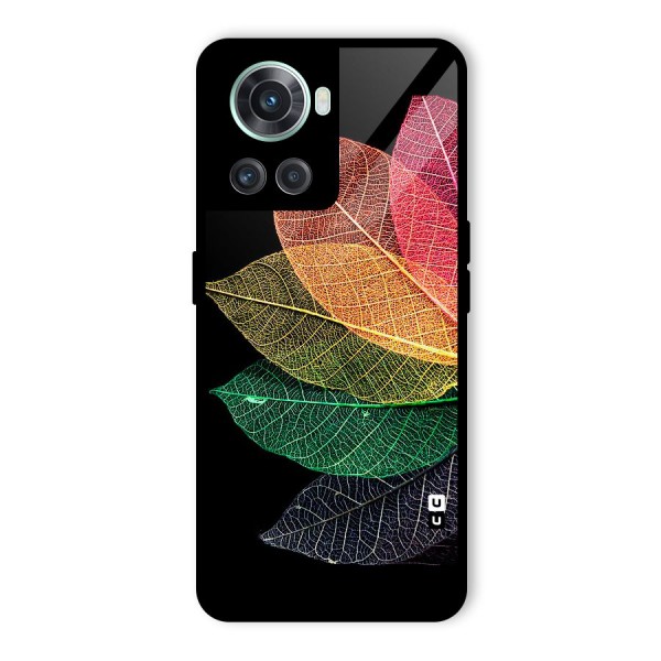 Net Leaf Color Design Glass Back Case for OnePlus 10R