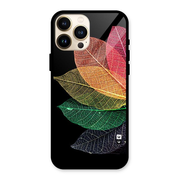 Net Leaf Color Design Glass Back Case for iPhone 13 Pro Max