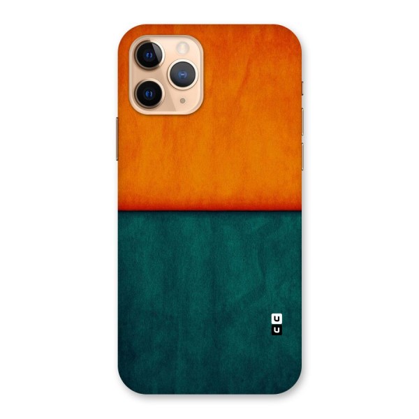 Orange Green Shade Back Case for iPhone 11 Pro