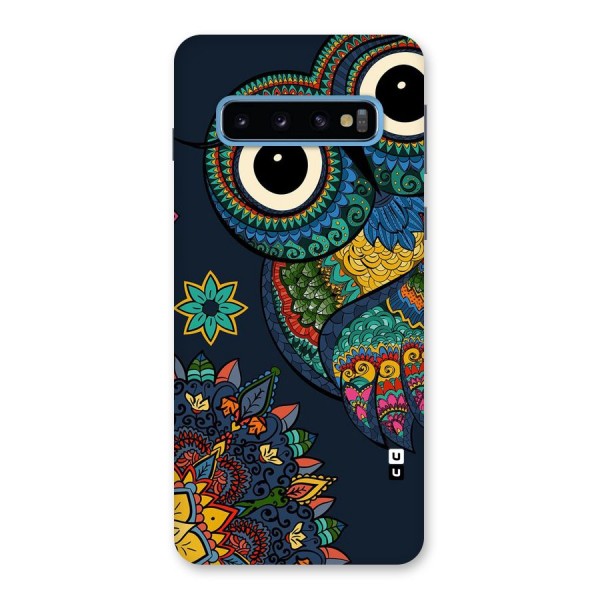 Owl Eyes Back Case for Galaxy S10