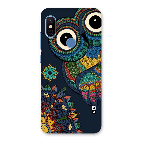 Owl Eyes Back Case for Redmi Note 6 Pro