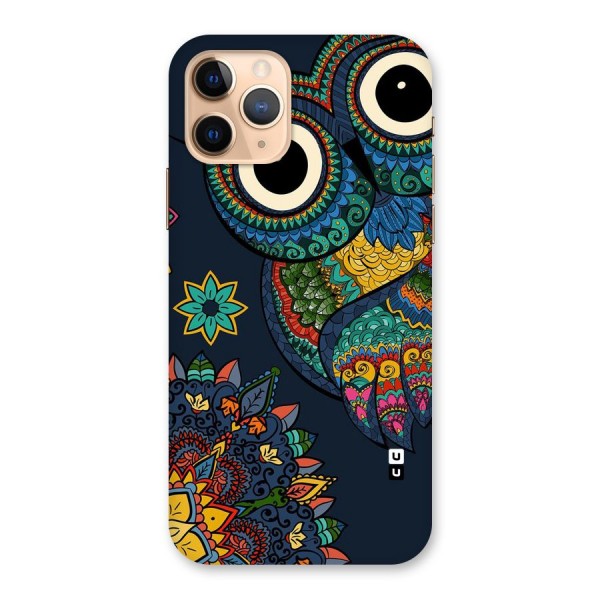 Owl Eyes Back Case for iPhone 11 Pro