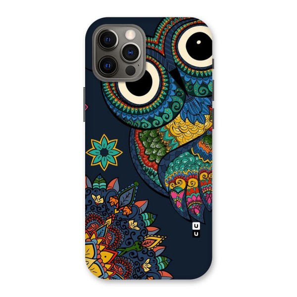 Owl Eyes Back Case for iPhone 12 Pro