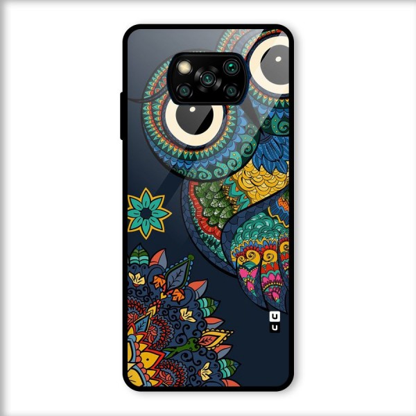 Owl Eyes Glass Back Case for Poco X3