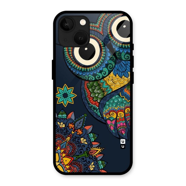 Owl Eyes Glass Back Case for iPhone 13