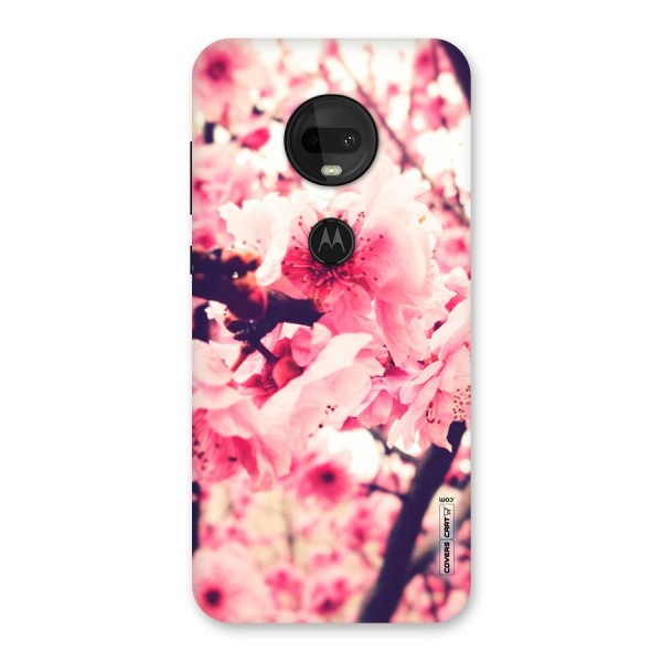 Pretty Pink Flowers Back Case for Moto G7