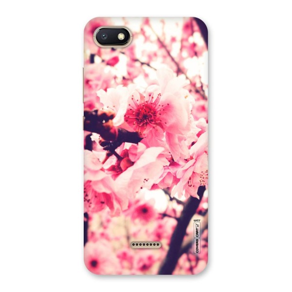 Pretty Pink Flowers Back Case for Redmi 6A