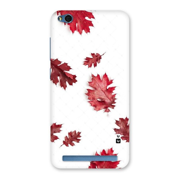 Red Appealing Autumn Leaves Back Case for Redmi 5A