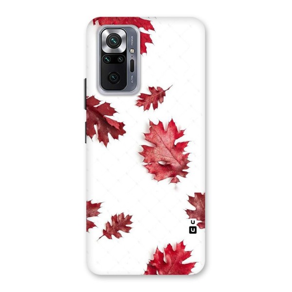 Red Appealing Autumn Leaves Back Case for Redmi Note 10 Pro Max