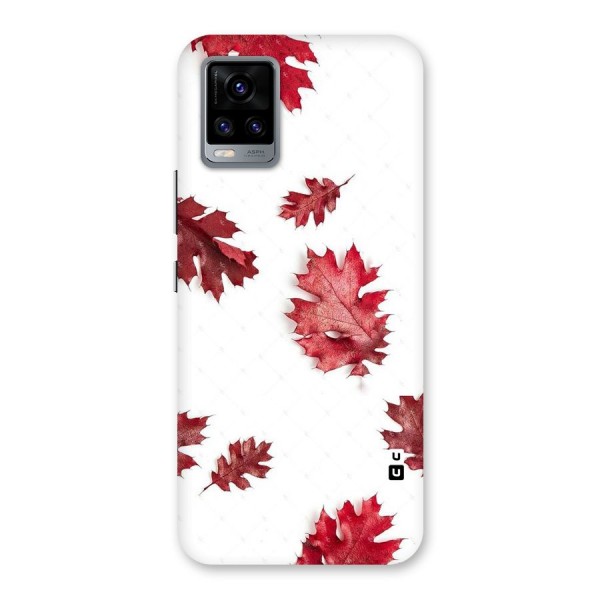 Red Appealing Autumn Leaves Back Case for Vivo V20