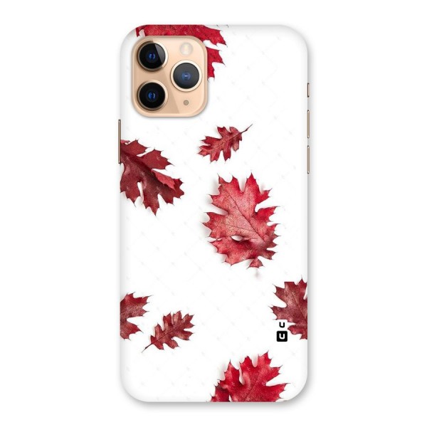Red Appealing Autumn Leaves Back Case for iPhone 11 Pro