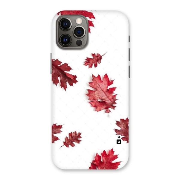Red Appealing Autumn Leaves Back Case for iPhone 12 Pro