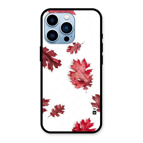 Red Appealing Autumn Leaves Glass Back Case for iPhone 13 Pro