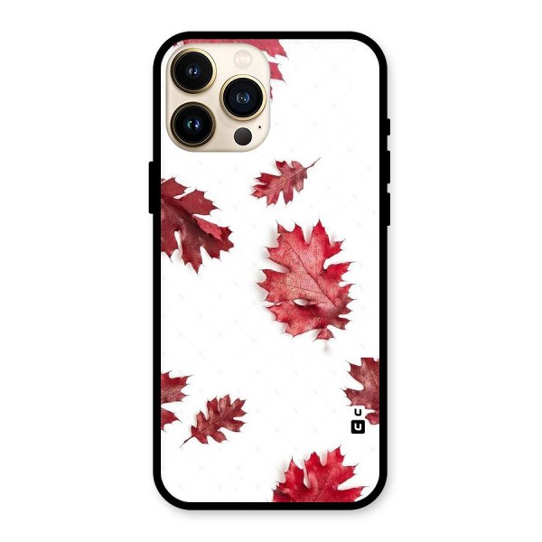Red Appealing Autumn Leaves Glass Back Case for iPhone 13 Pro Max