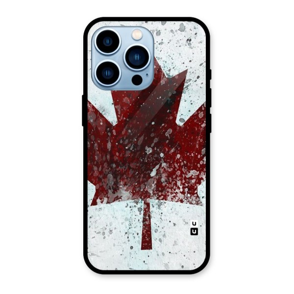 Red Maple Snow Glass Back Case for iPhone 13 Pro